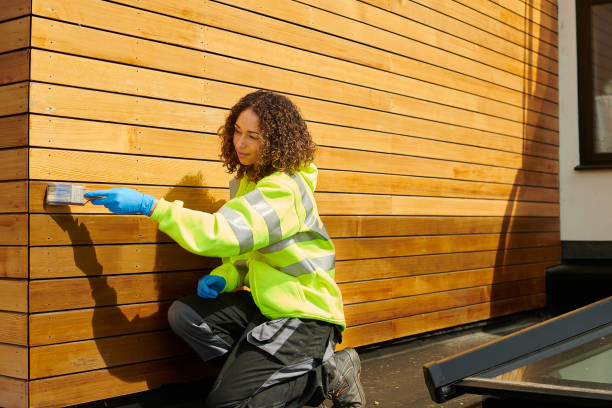 Affordable Siding Repair and Maintenance Services in Forestville, CA